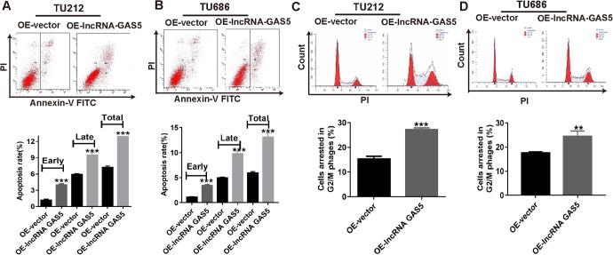 https://cdn.ncbi.nlm.nih.gov/pmc/blobs/000b/7923983/5b2b981cfbaa/10.1177_1533033821990074-fig3.jpg