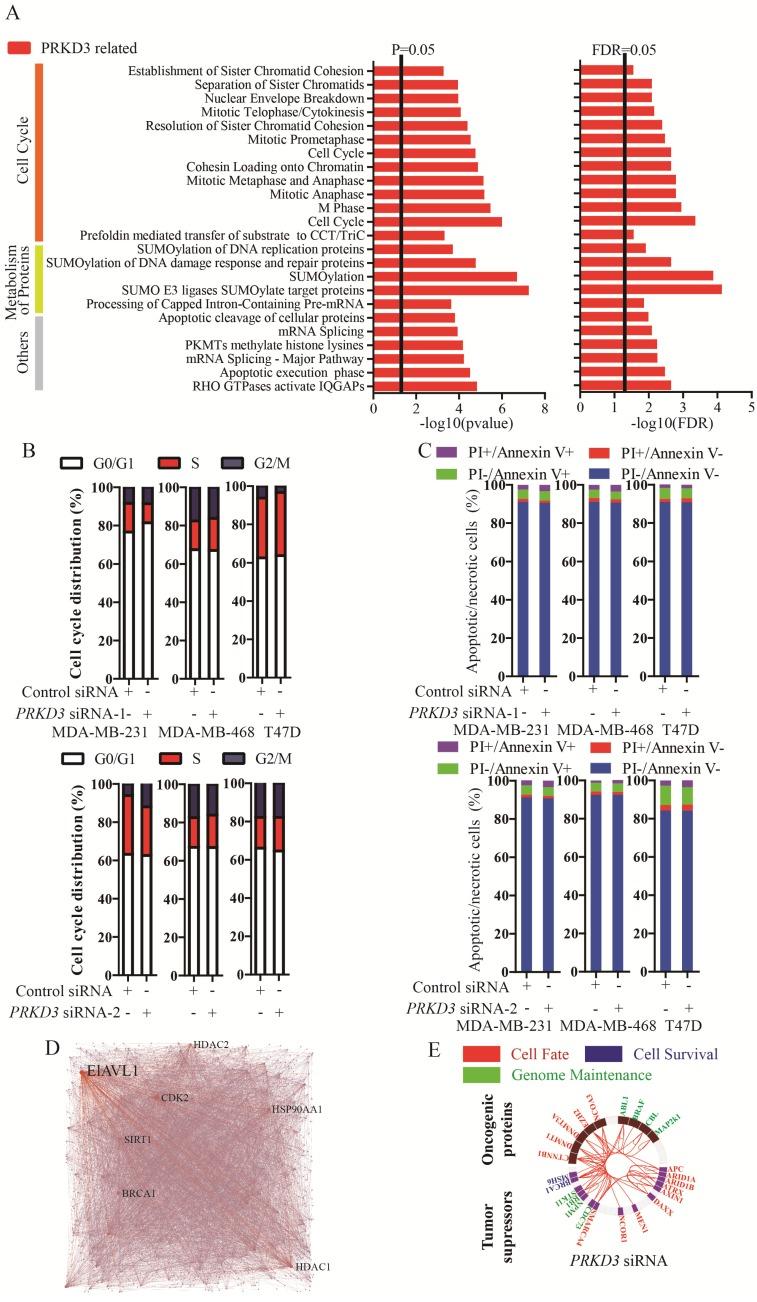 https://cdn.ncbi.nlm.nih.gov/pmc/blobs/000e/5485630/186ac49ec519/ijbsv13p0748g003.jpg