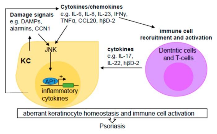 https://cdn.ncbi.nlm.nih.gov/pmc/blobs/0021/7226813/c09c990d6678/cells-09-00857-g003.jpg