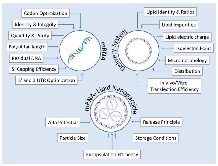 https://cdn.ncbi.nlm.nih.gov/pmc/blobs/0031/9866414/299e8062c6e5/pharmaceutics-15-00166-g005.jpg