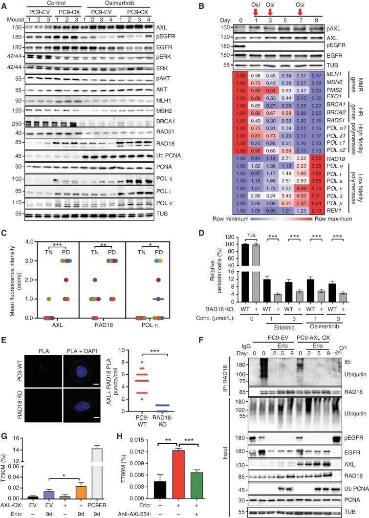 https://cdn.ncbi.nlm.nih.gov/pmc/blobs/0057/9627128/3048947c4de5/2666fig3.jpg