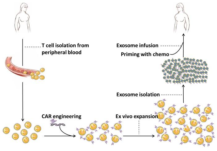 https://cdn.ncbi.nlm.nih.gov/pmc/blobs/005a/4792550/6fa977b10d92/oncotarget-06-44179-g001.jpg
