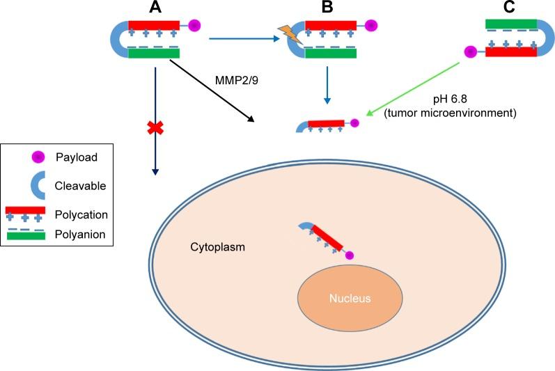 https://cdn.ncbi.nlm.nih.gov/pmc/blobs/005c/5849936/b134906d19f5/ijn-13-1425Fig2.jpg