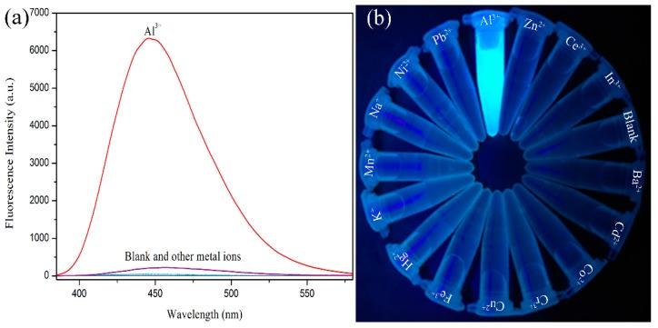 https://cdn.ncbi.nlm.nih.gov/pmc/blobs/00e0/6523932/ecf45b02be79/polymers-11-00573-g001.jpg