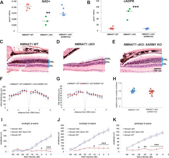 https://cdn.ncbi.nlm.nih.gov/pmc/blobs/00e1/7591247/518426424757/elife-62027-fig4.jpg