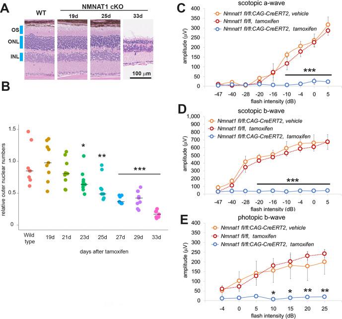 https://cdn.ncbi.nlm.nih.gov/pmc/blobs/00e1/7591247/86d2ba982f54/elife-62027-fig2.jpg