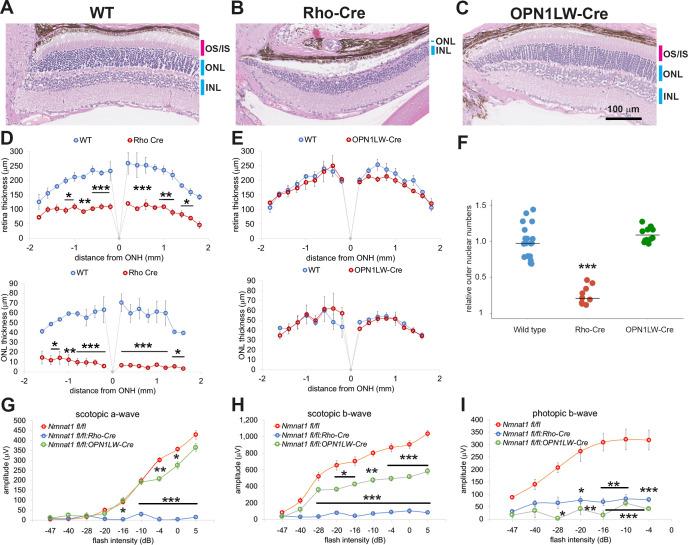 https://cdn.ncbi.nlm.nih.gov/pmc/blobs/00e1/7591247/c59665fc5dc6/elife-62027-fig3.jpg