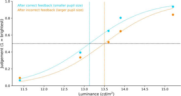 https://cdn.ncbi.nlm.nih.gov/pmc/blobs/00e5/9121535/b2d708caa1a3/10.1177_03010066221094757-fig5.jpg