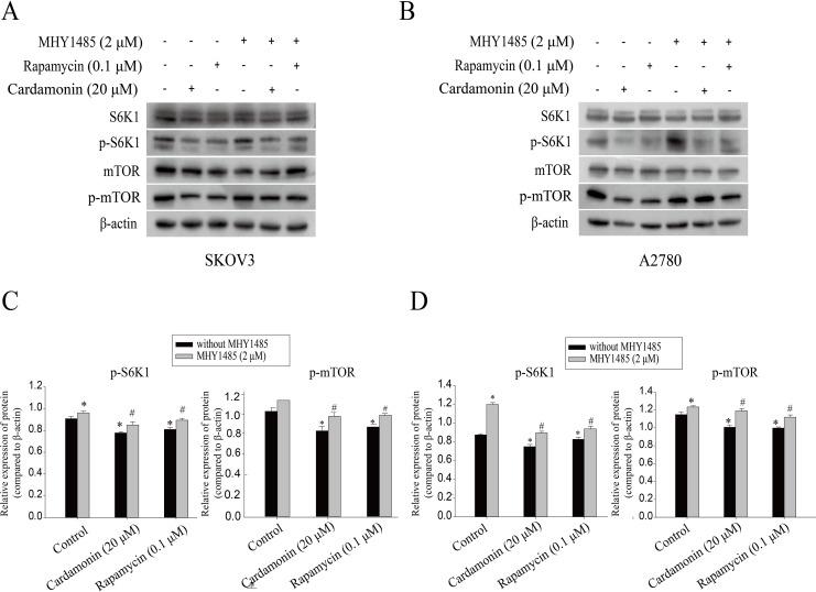https://cdn.ncbi.nlm.nih.gov/pmc/blobs/00f1/10257395/1d39c516e6bf/peerj-11-15498-g005.jpg