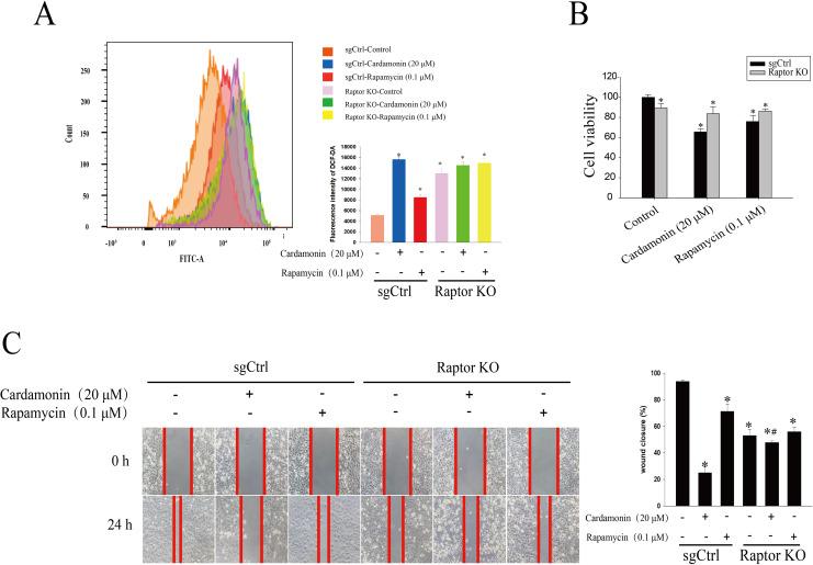 https://cdn.ncbi.nlm.nih.gov/pmc/blobs/00f1/10257395/5e63f3fc54c6/peerj-11-15498-g007.jpg