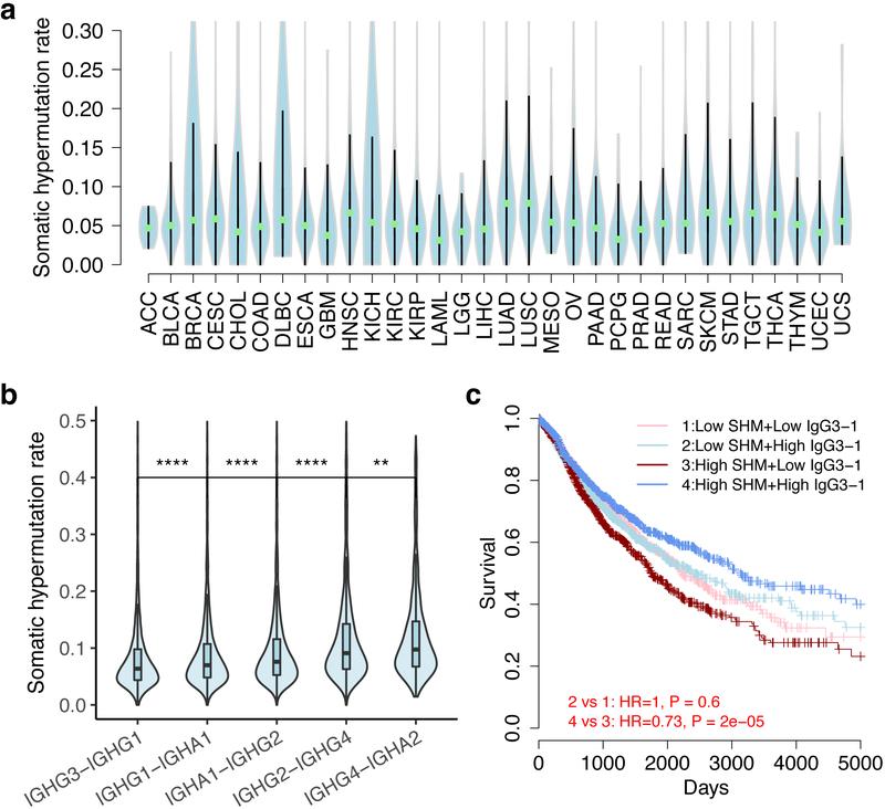 https://cdn.ncbi.nlm.nih.gov/pmc/blobs/00f8/6773274/e4ea80201d23/nihms-1516974-f0005.jpg