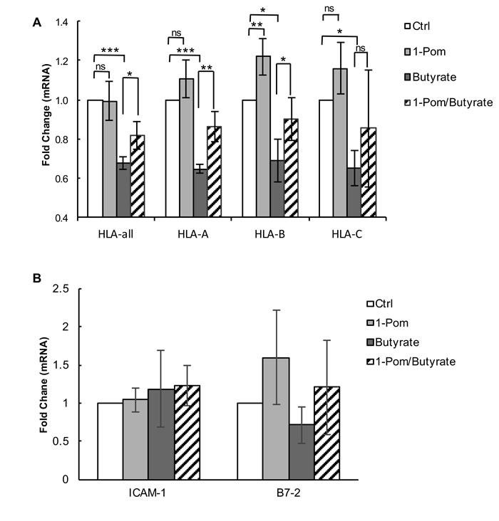 https://cdn.ncbi.nlm.nih.gov/pmc/blobs/00fd/5584136/2aa0533f8ac0/oncotarget-08-50342-g007.jpg