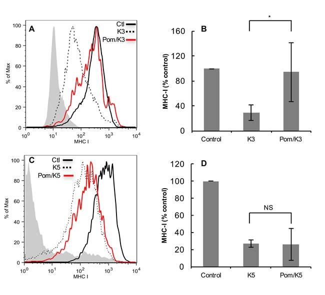 https://cdn.ncbi.nlm.nih.gov/pmc/blobs/00fd/5584136/fc64d7d61690/oncotarget-08-50342-g006.jpg