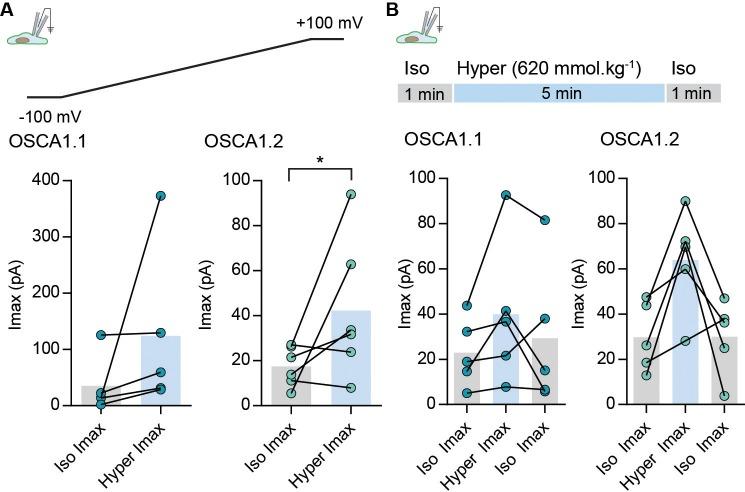 https://cdn.ncbi.nlm.nih.gov/pmc/blobs/0101/6235560/1d3901eaa231/elife-41844-fig1-figsupp1.jpg