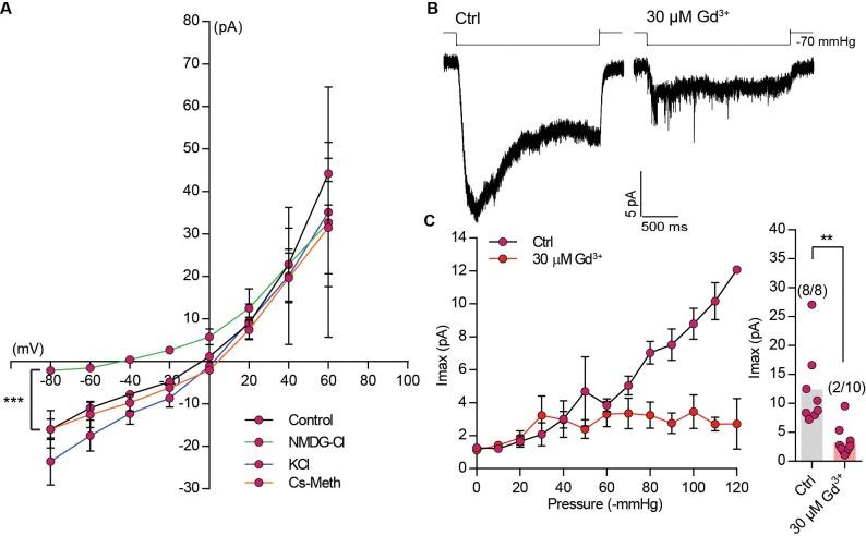 https://cdn.ncbi.nlm.nih.gov/pmc/blobs/0101/6235560/8021798e593f/elife-41844-fig4-figsupp2.jpg