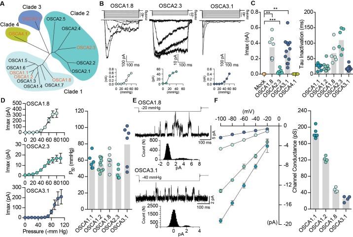 https://cdn.ncbi.nlm.nih.gov/pmc/blobs/0101/6235560/97ebb56795c8/elife-41844-fig2.jpg