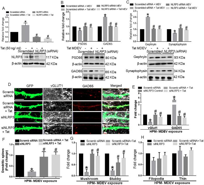 https://cdn.ncbi.nlm.nih.gov/pmc/blobs/0116/11648479/87ed8ab72d41/evcna-3-2-133.fig.5.jpg