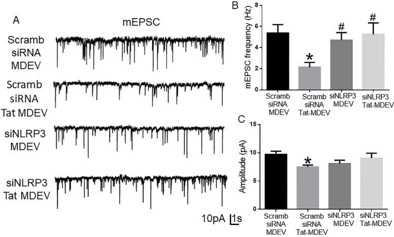 https://cdn.ncbi.nlm.nih.gov/pmc/blobs/0116/11648479/a4be6ea21cee/evcna-3-2-133.fig.6.jpg