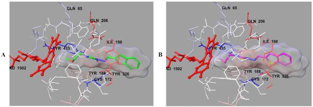 https://cdn.ncbi.nlm.nih.gov/pmc/blobs/0122/8587871/2f27c05fdb36/molecules-26-06640-g009.jpg