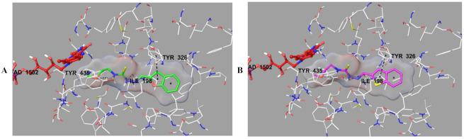 https://cdn.ncbi.nlm.nih.gov/pmc/blobs/0122/8587871/698ba296cb38/molecules-26-06640-g007.jpg