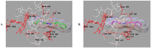 https://cdn.ncbi.nlm.nih.gov/pmc/blobs/0122/8587871/76543aa7804d/molecules-26-06640-g008.jpg