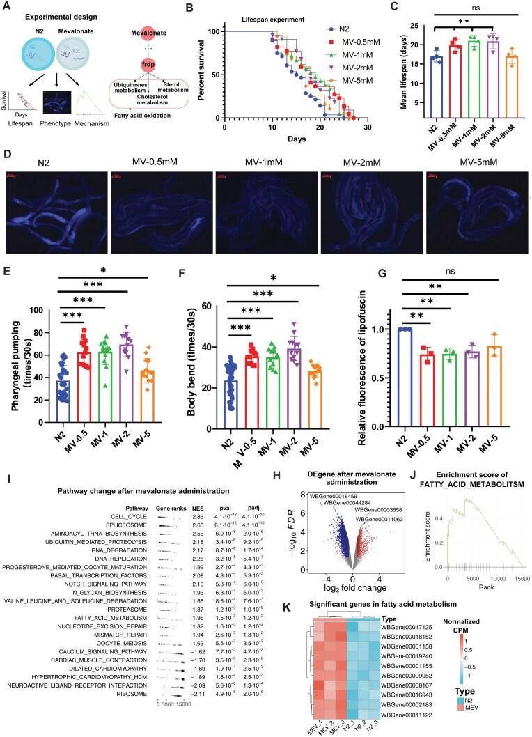 https://cdn.ncbi.nlm.nih.gov/pmc/blobs/0155/11992571/4cb1d526c34a/lnaf003_fig6.jpg