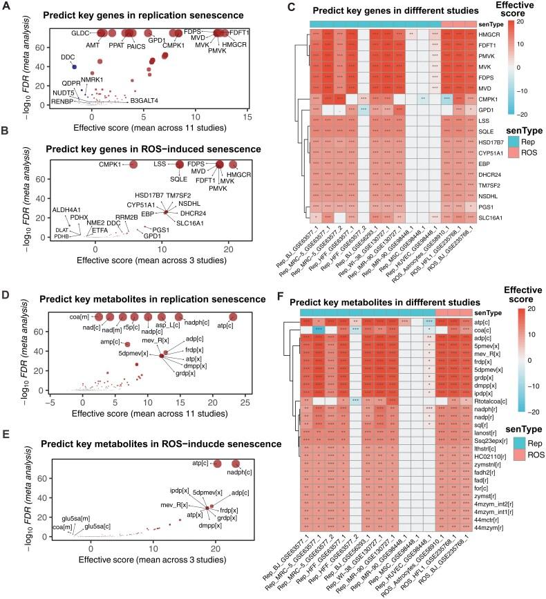 https://cdn.ncbi.nlm.nih.gov/pmc/blobs/0155/11992571/b0e4700524ea/lnaf003_fig3.jpg