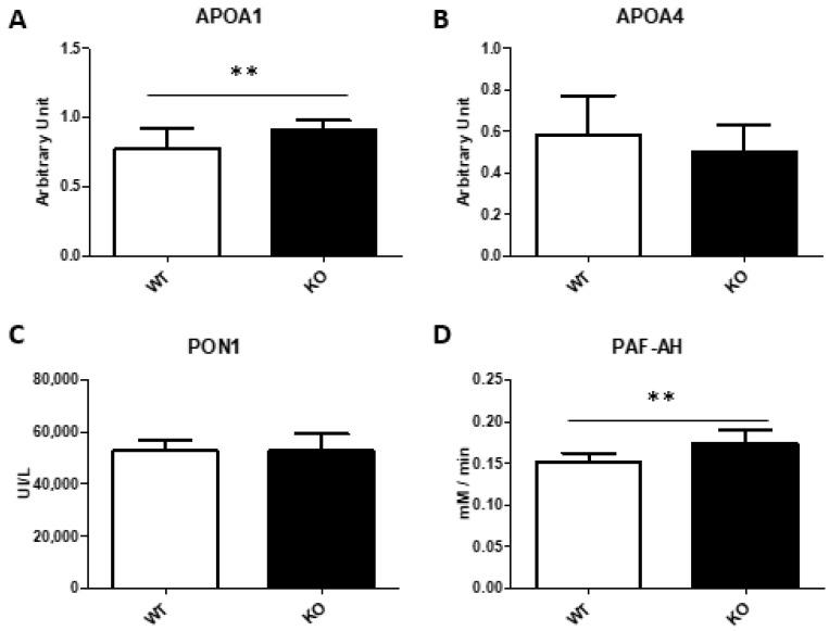 https://cdn.ncbi.nlm.nih.gov/pmc/blobs/0161/8945230/4a7348346d1a/biomedicines-10-00709-g004.jpg