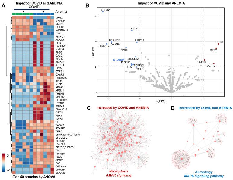 https://cdn.ncbi.nlm.nih.gov/pmc/blobs/0162/10972025/f42655a6208a/microorganisms-12-00453-g005.jpg