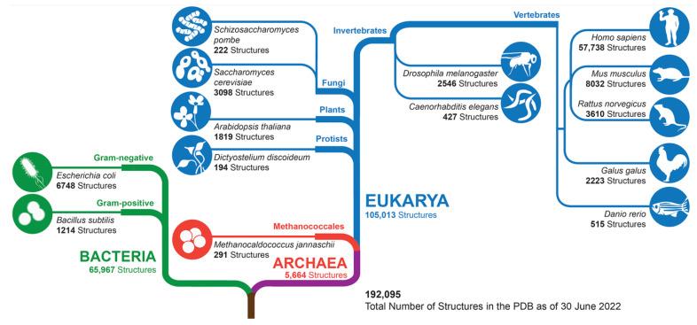 https://cdn.ncbi.nlm.nih.gov/pmc/blobs/0166/9599165/cc27210fa7f5/biomolecules-12-01425-g007.jpg