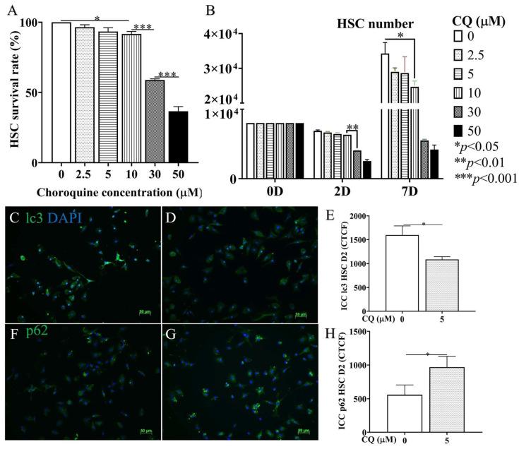 https://cdn.ncbi.nlm.nih.gov/pmc/blobs/019a/10092998/eb3f84c157cc/cells-12-01025-g006.jpg