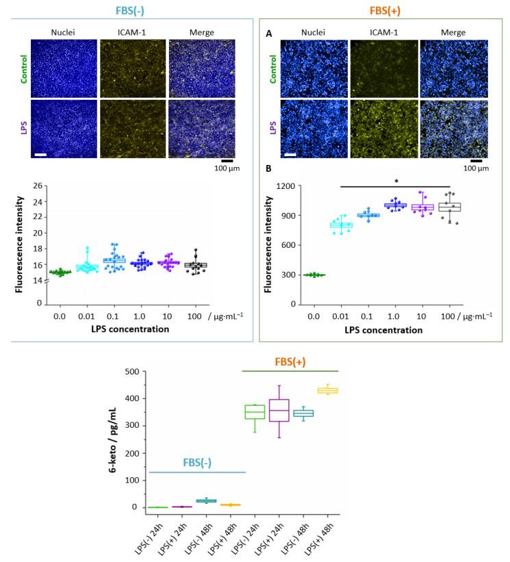 https://cdn.ncbi.nlm.nih.gov/pmc/blobs/01aa/8227392/088e34de2e03/cells-10-01403-g006.jpg