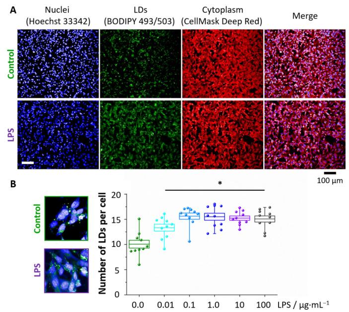 https://cdn.ncbi.nlm.nih.gov/pmc/blobs/01aa/8227392/73f9513586b3/cells-10-01403-g002.jpg