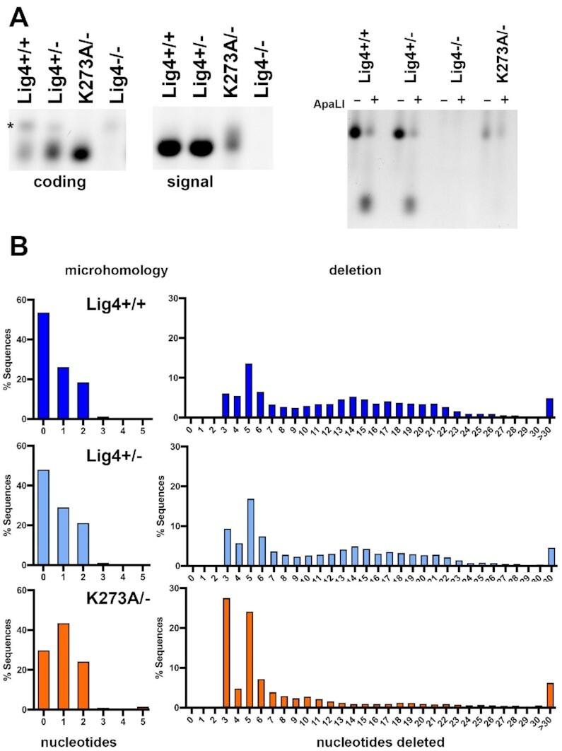 https://cdn.ncbi.nlm.nih.gov/pmc/blobs/01ae/9638927/28f490dfc4b6/gkac913fig8.jpg