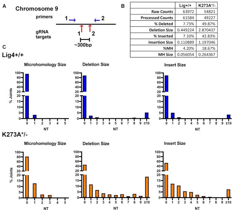 https://cdn.ncbi.nlm.nih.gov/pmc/blobs/01ae/9638927/89915c4be689/gkac913fig9.jpg