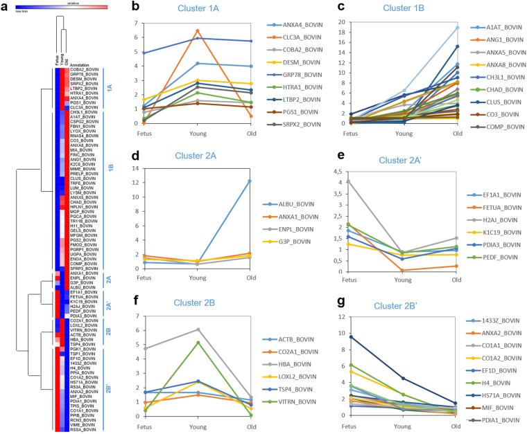 https://cdn.ncbi.nlm.nih.gov/pmc/blobs/01b2/5599645/3ba954dd907f/41598_2017_11960_Fig4_HTML.jpg