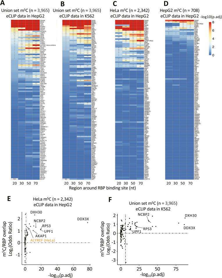 https://cdn.ncbi.nlm.nih.gov/pmc/blobs/01c4/11235314/2c4ab3da0f4a/LSA-2024-02613_FigS6.jpg