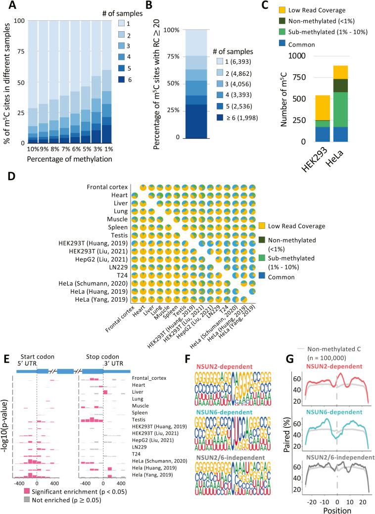 https://cdn.ncbi.nlm.nih.gov/pmc/blobs/01c4/11235314/67bfdc8b7f50/LSA-2024-02613_FigS4.jpg