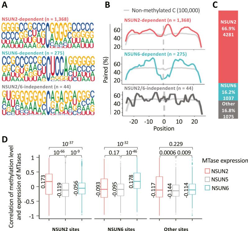https://cdn.ncbi.nlm.nih.gov/pmc/blobs/01c4/11235314/ceb1fc0e1034/LSA-2024-02613_Fig2.jpg