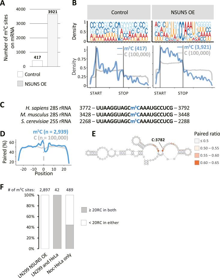 https://cdn.ncbi.nlm.nih.gov/pmc/blobs/01c4/11235314/ea4b6e906986/LSA-2024-02613_Fig3.jpg