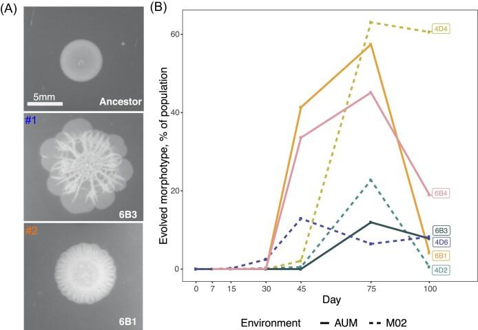 https://cdn.ncbi.nlm.nih.gov/pmc/blobs/01c5/10540941/46d12b76212a/uqad038fig1.jpg