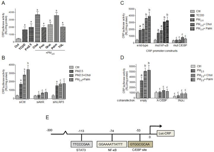 https://cdn.ncbi.nlm.nih.gov/pmc/blobs/01d0/7663825/1d6762a76d6f/ijms-21-08287-g006.jpg