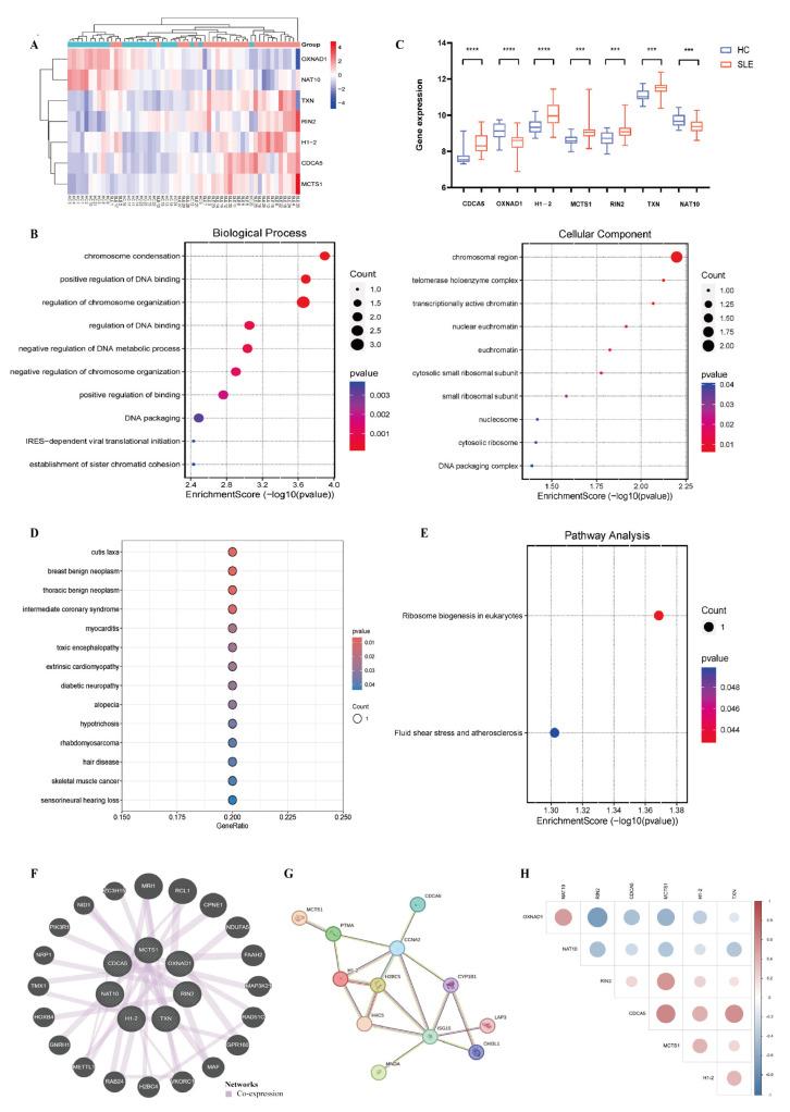 https://cdn.ncbi.nlm.nih.gov/pmc/blobs/01ed/12189252/f1d9e0667464/biomedicines-13-01274-g002.jpg