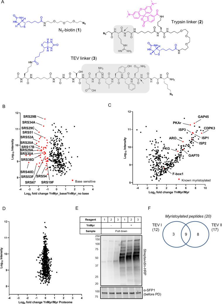 https://cdn.ncbi.nlm.nih.gov/pmc/blobs/01f6/7373427/0d51305997d2/elife-57861-fig2-figsupp1.jpg