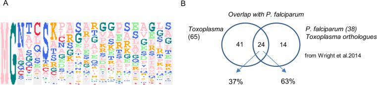 https://cdn.ncbi.nlm.nih.gov/pmc/blobs/01f6/7373427/46fd9dc8f9e2/elife-57861-fig4-figsupp1.jpg