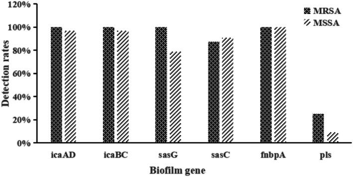https://cdn.ncbi.nlm.nih.gov/pmc/blobs/0203/12357173/fd8c611c53ca/FSN3-13-e70791-g001.jpg