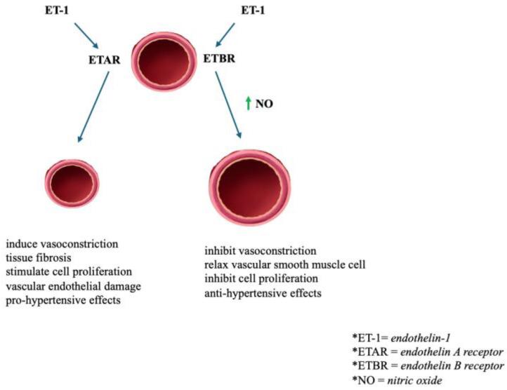 https://cdn.ncbi.nlm.nih.gov/pmc/blobs/0206/11478071/9474b29c75aa/jcm-13-05927-g006.jpg