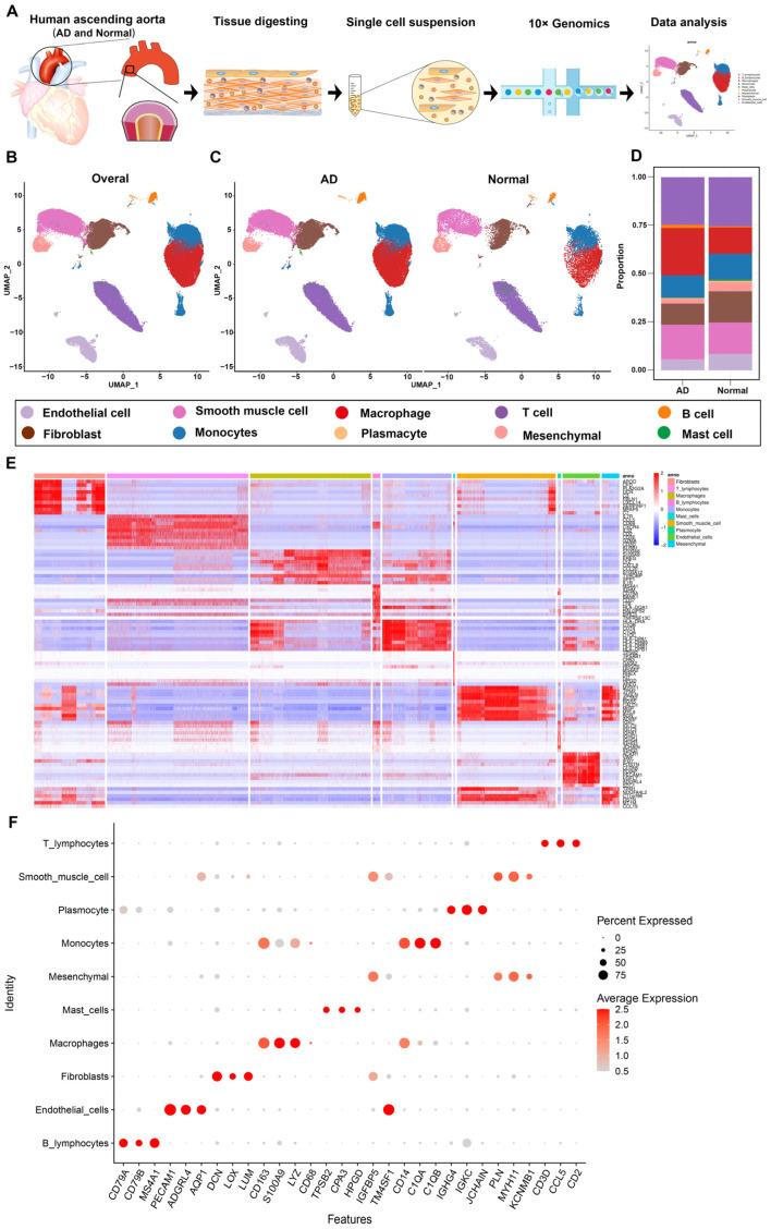 https://cdn.ncbi.nlm.nih.gov/pmc/blobs/021d/9952989/6a9bcc19a049/biomolecules-13-00399-g001.jpg
