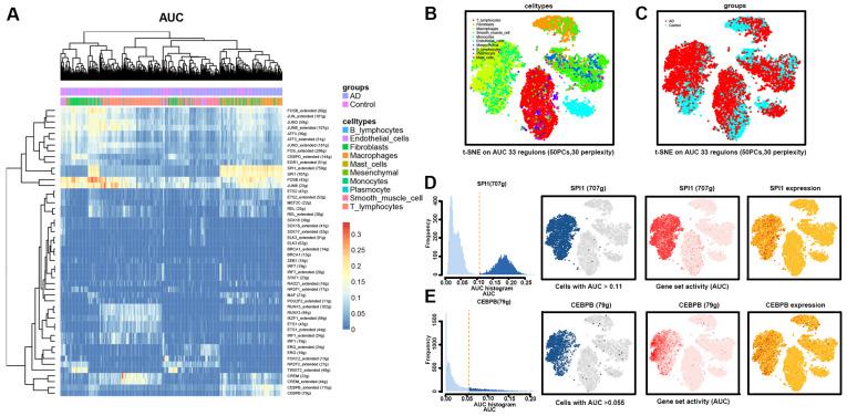 https://cdn.ncbi.nlm.nih.gov/pmc/blobs/021d/9952989/a47cbed3c143/biomolecules-13-00399-g005.jpg