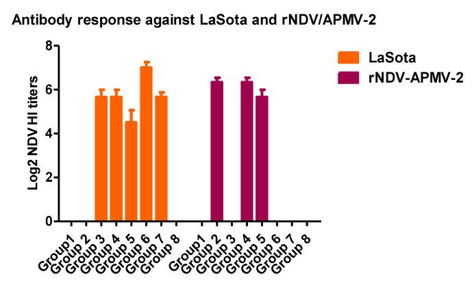 https://cdn.ncbi.nlm.nih.gov/pmc/blobs/0221/7411825/2eb1ce4746c0/viruses-12-00697-g005.jpg